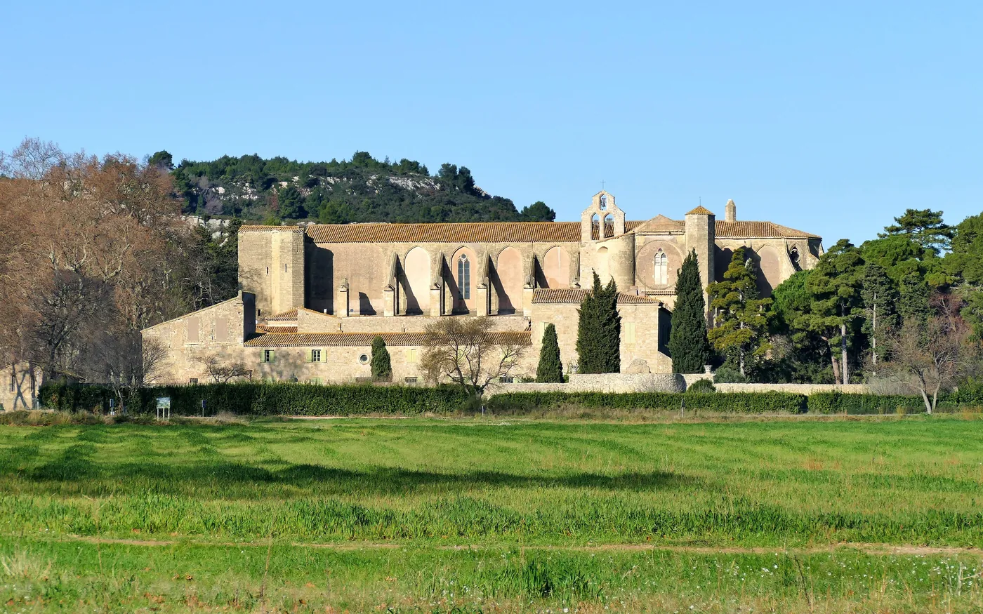 Épilation laser à Villeveyrac